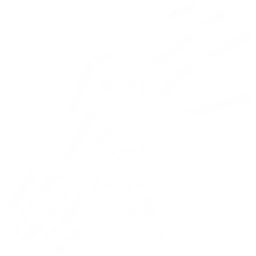 fracture