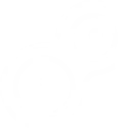 mitosis