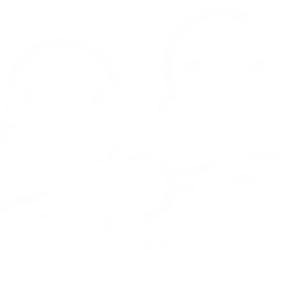 scale